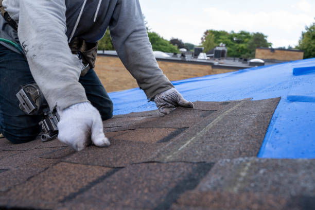 Best Green or Eco-Friendly Roofing Solutions  in West Deland, FL